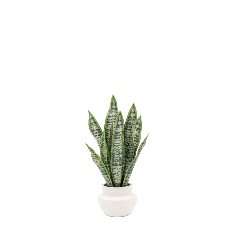 Arrangement