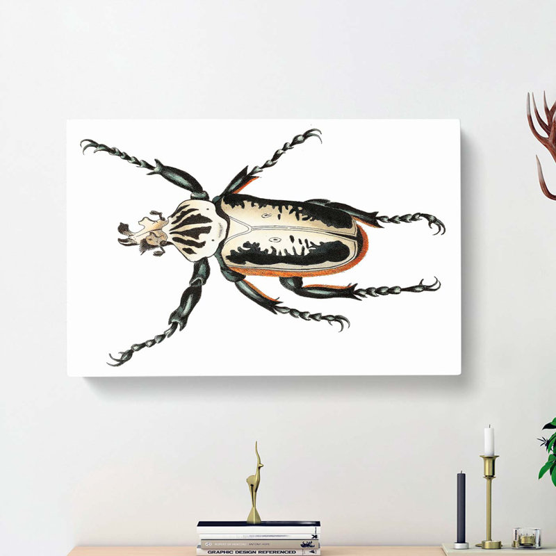 Goliath Beetle by George Shaw - Wrapped Canvas, 40cm H x 60cm W x 3cm D