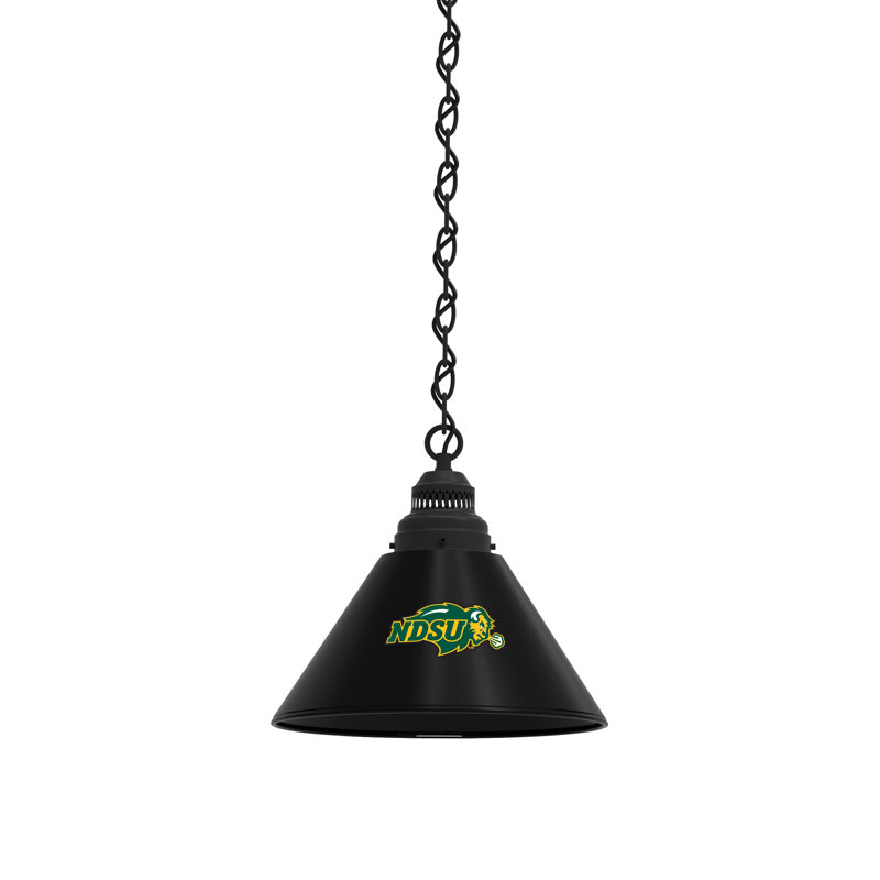1 - Light Single Pendant, Black, North Dakota State Bison - Black