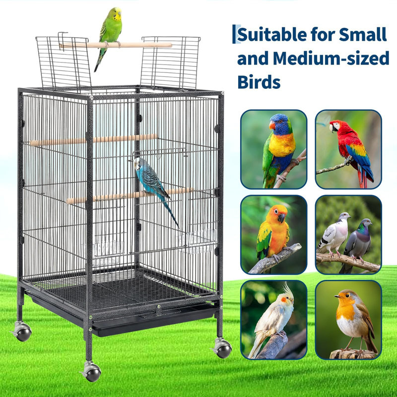 Grande cage à oiseaux, cage à oiseaux en métal de 98 cm de hauteur avec aire de jeu ouverte, cage de vol roulante pour perruches, canaris, inséparables, petits quaker, cockatiels, perruches