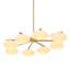 Evergreen 8 - Light Chandelier