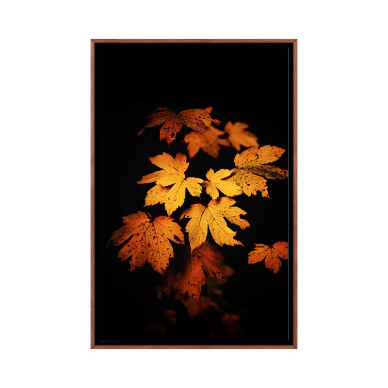 Autumn Photo by Philippe Sainte-Laudy - Print on Canvas, Classic Brown Wood Framed, 66.04 cm H x 45.72 cm W