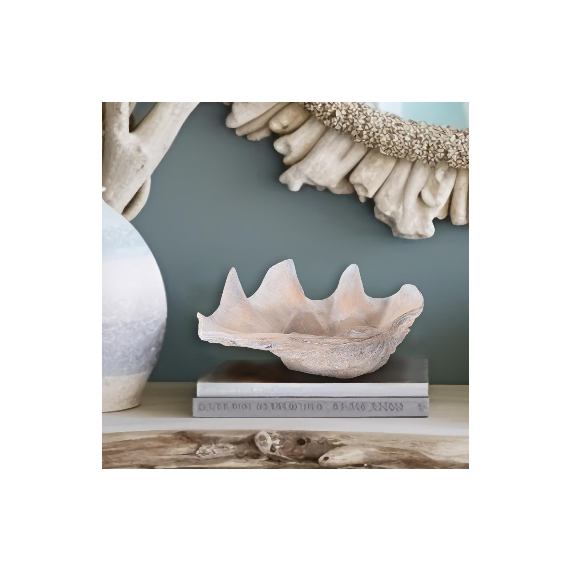 Large Vongole