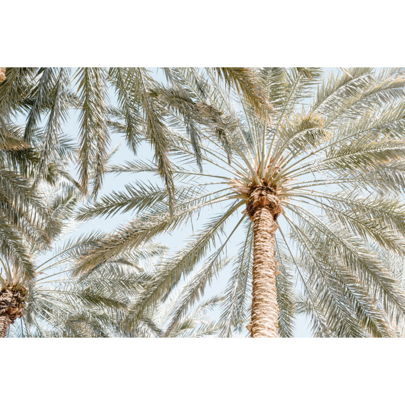 Wrapped Canvas Print, 60.96 cm H x 91.44 cm W