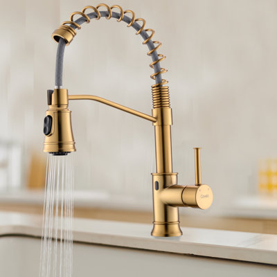 GAWEZA Pull Down Kitchen Faucet