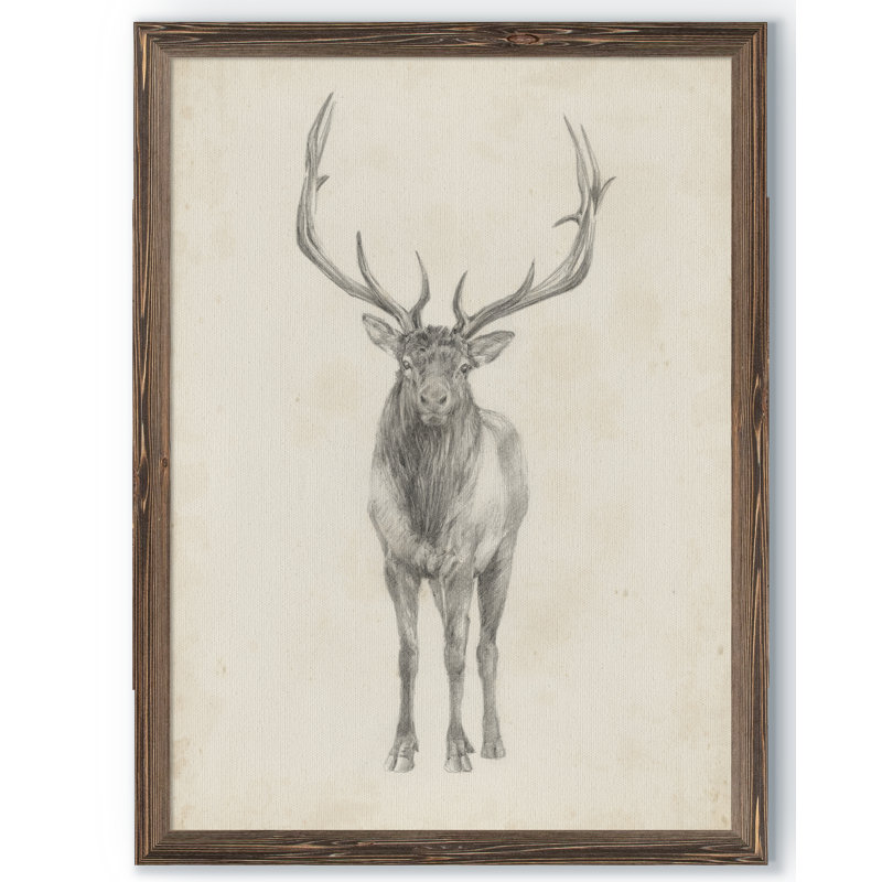 « elk study » par paul cezanne-photo-cadre, reproduction d’art, H 30 po x l 22 po x P 1,25 po, Cadre de toiles encadrées moka