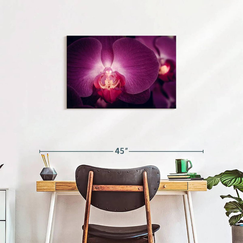 Harnek Purple Moth Orchid, 20" H x 30" W