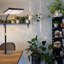 Ivy Bronx Grow Light