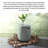Tameya Ceramic Accent Stool
