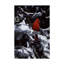 «Cardinal In Blue Spruce» par Etelca, impression sur toile tendue-27653031