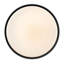 Hinkley Cedric Semi-Flush Mount-552078919