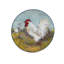 Ensemble de 4 assiettes coq certifiées International Rooster Meadow