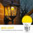 3 W G45 E26/Medium (Standard) 2000 K LED Smart Bulb