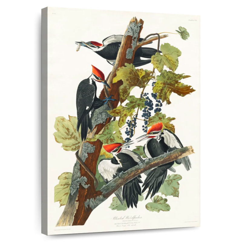 Brampt Pileated Woodpecker, 30" H x 20" W
