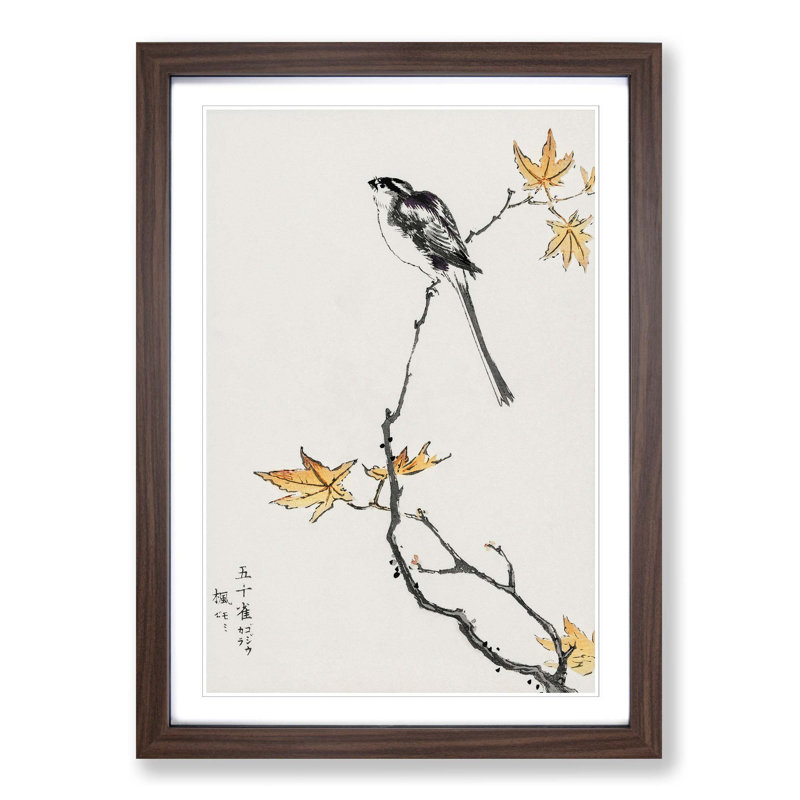 Long-Tailed Tit & Maple Tree by Numata Kashu - Picture Frame Painting Print, Walnut, 60cm H x 40cm W x 2cm D