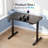 Modern Electric Adjustable Height Standing Desk with Built-In Accessories for Office Computer Desk-129424042