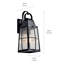 Lanterne murale d'extérieur noire texturée 1 lumière Tolerand 17,75 po-27770198