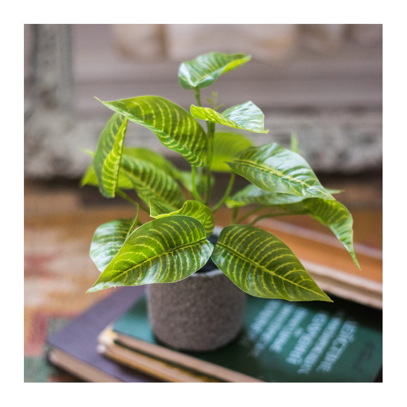 Plante bonsai artificielle en pot de fleurs