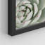 «Cactus Succulent Close Up Echeveria Red Tip White» sur papier-98266470-98266473