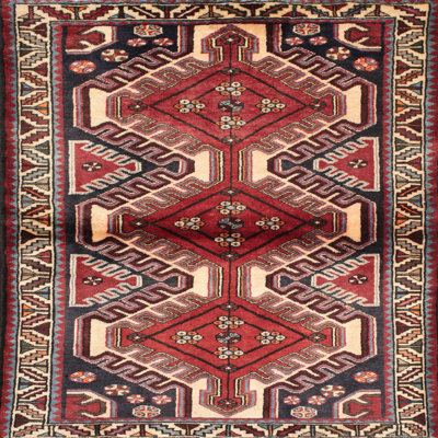 Wool Oriental Indoor Rug