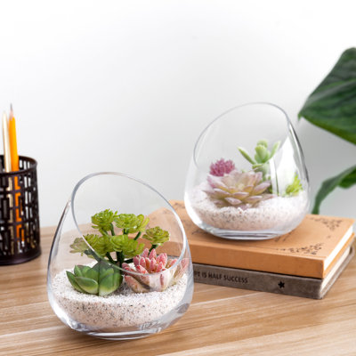 Glass Terrarium