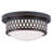 Anely Glass Flush Mount-20276003