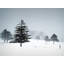Valentines Day Snow Print by Tom Kostes-65852329-65826466