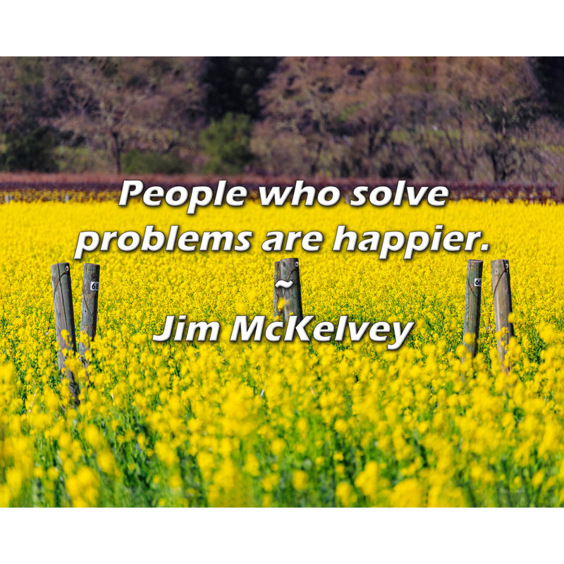 Citation artistique «Les gens qui résolvent des problèmes sont plus heureux». Toile tendue par Jim McKelvey