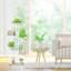 Support pour plante d'intérieur / extérieur à 4 niveaux, conception d'angle à niveaux, support à fleurs en métal-755813115-755813092