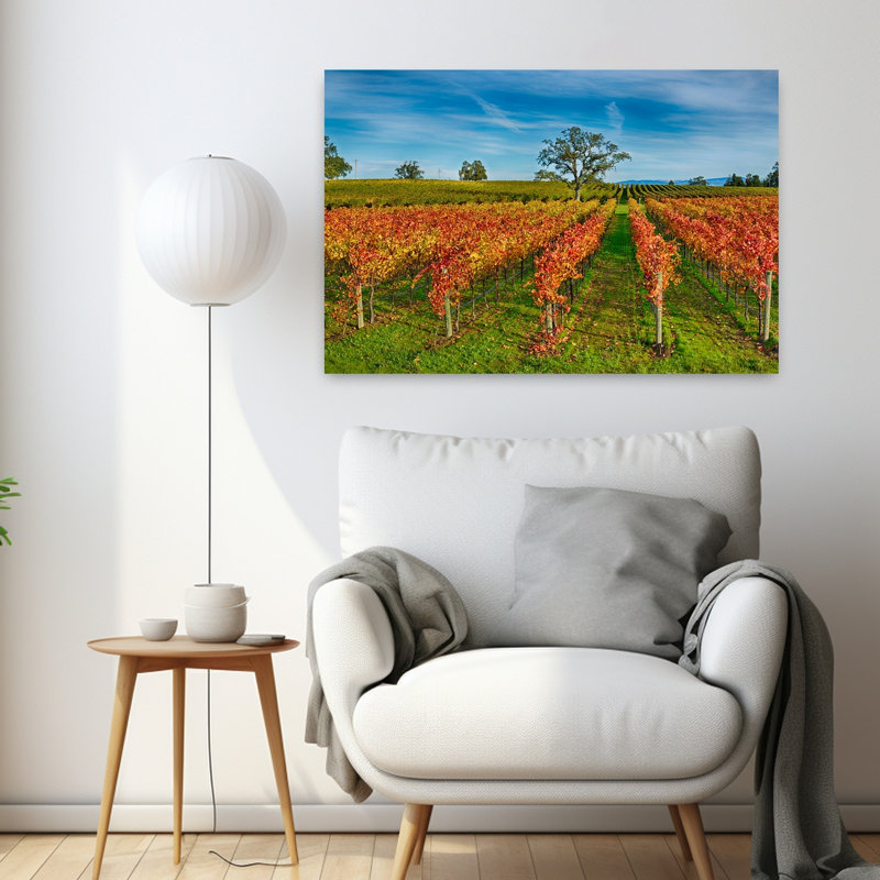 Automne vignoble à Napa Valley, Californie, États-Unis, paysage contemporain abstrait, art, H 24 po x l 36 po