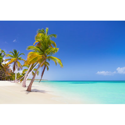 Tropical Beach - Wrapped Canvas Print