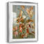 Automne antique II-228649223-228649227