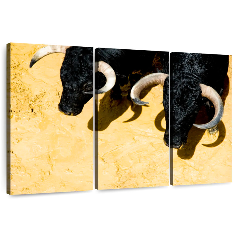 Fighting Bulls, H 14 po x l 23 po