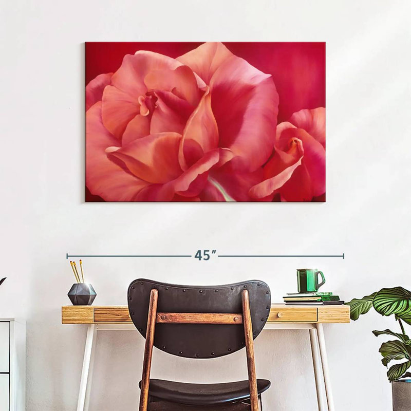 Harnek rose brillant, H 26 po x l 39 po