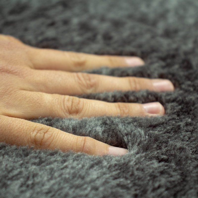 Tapis gris anthracite en polyester tissé à la machine Moana, Rectangle 2 pi 7 po x 4 pi 11 po
