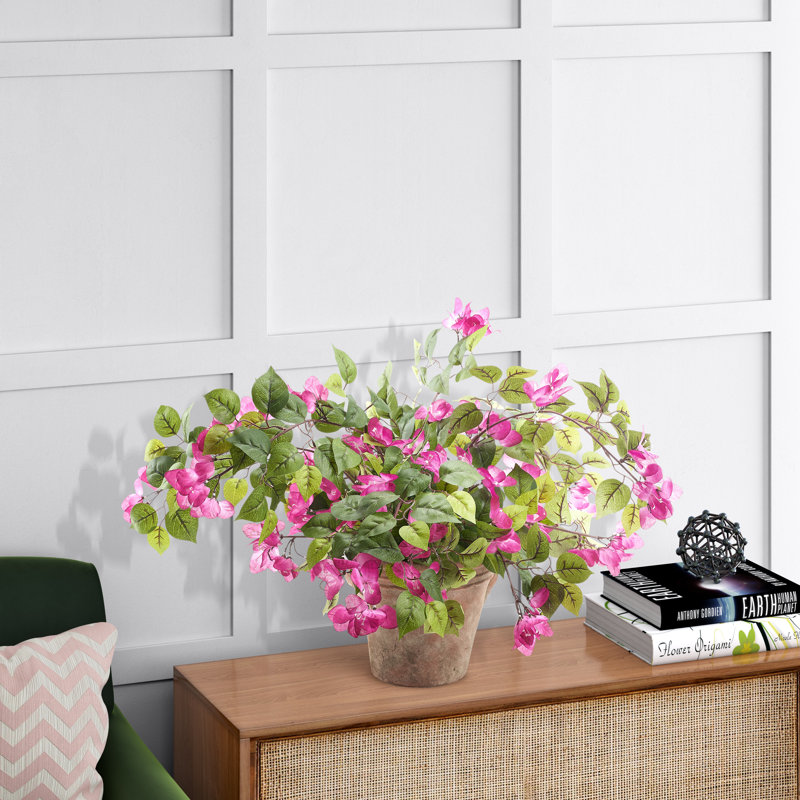 Bougainvillea in Dwell Planter