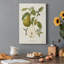 Vintage Pears II - impression sur toile tendue-1313909349