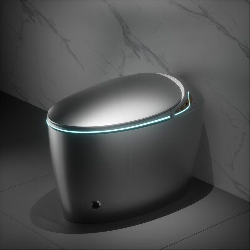 Toilette intelligente unique avec bidet intégré, Grey