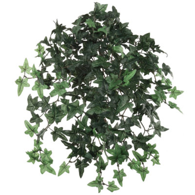 20" Ivy Plant