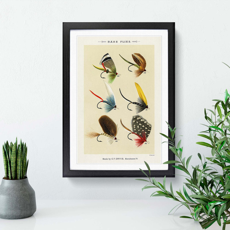 Bass Fishing Flies Versions 4 by Mary Orvis Marbury - Picture Frame Painting Print, 36cm H x 27cm W x 2cm D, Black Framed