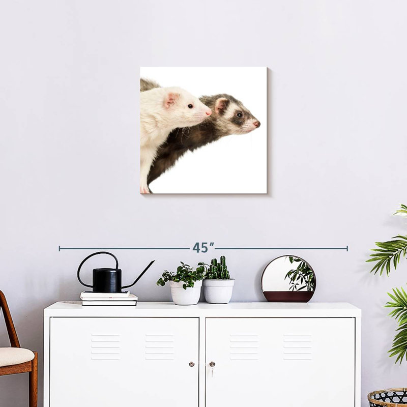 Crowle Two Curious Ferrets, 20" H x 20" W