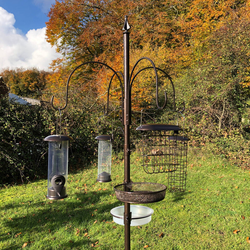 Pinheiro Steel Feeding Station