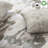 Safari Organic Cotton Blend Standard Geometric Sham Set