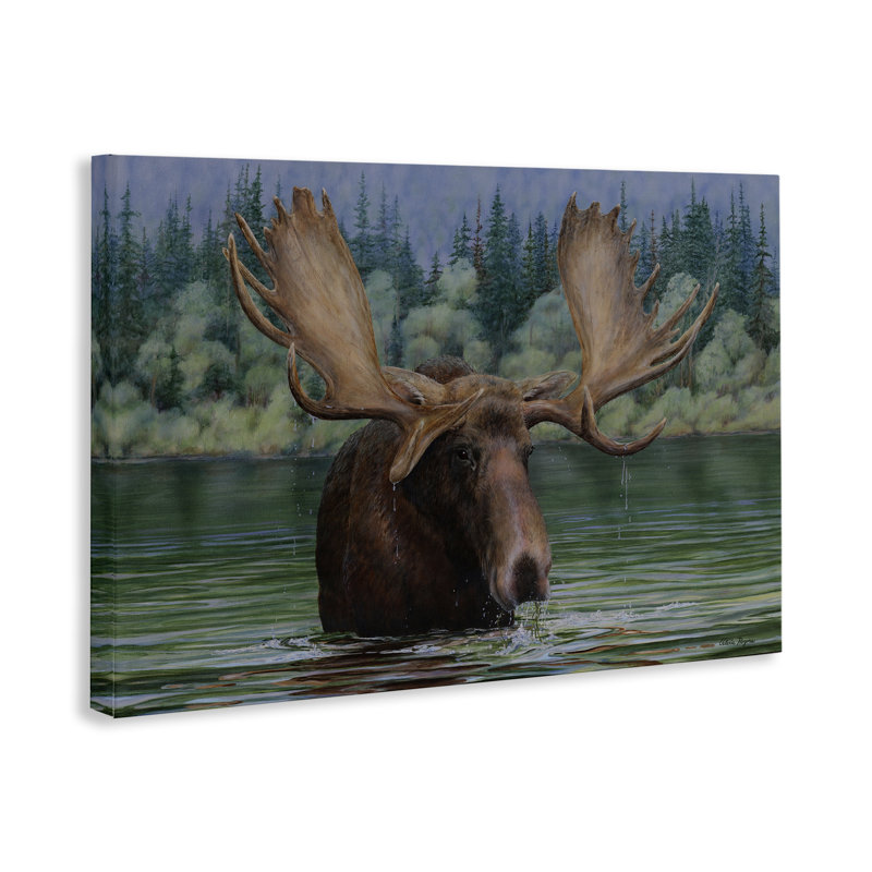  Moose Swimming in Lake Canvas Wall Art by Valerie Rogers, H 24 po x l 36 po