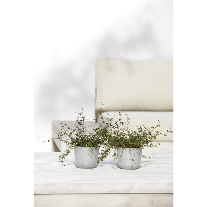 Ecopots Oslo Indoor/Outdoor Modern Recycled Plastic Flower Pot Planter, 8.5" H x 10" W x 10" D, Pure White