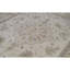 Wool Oriental Area Rug in Beige/Light Blue