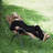 Steel Outdoor Lounge Chair