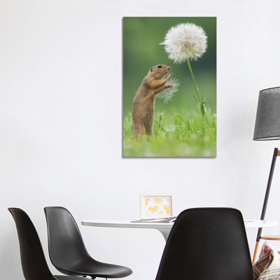 Ziesel With A Very Big Dandelion I by Dick Van Duijn - Print on Canvas