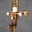Michalak Mixer Shower with Dual Shower Head
