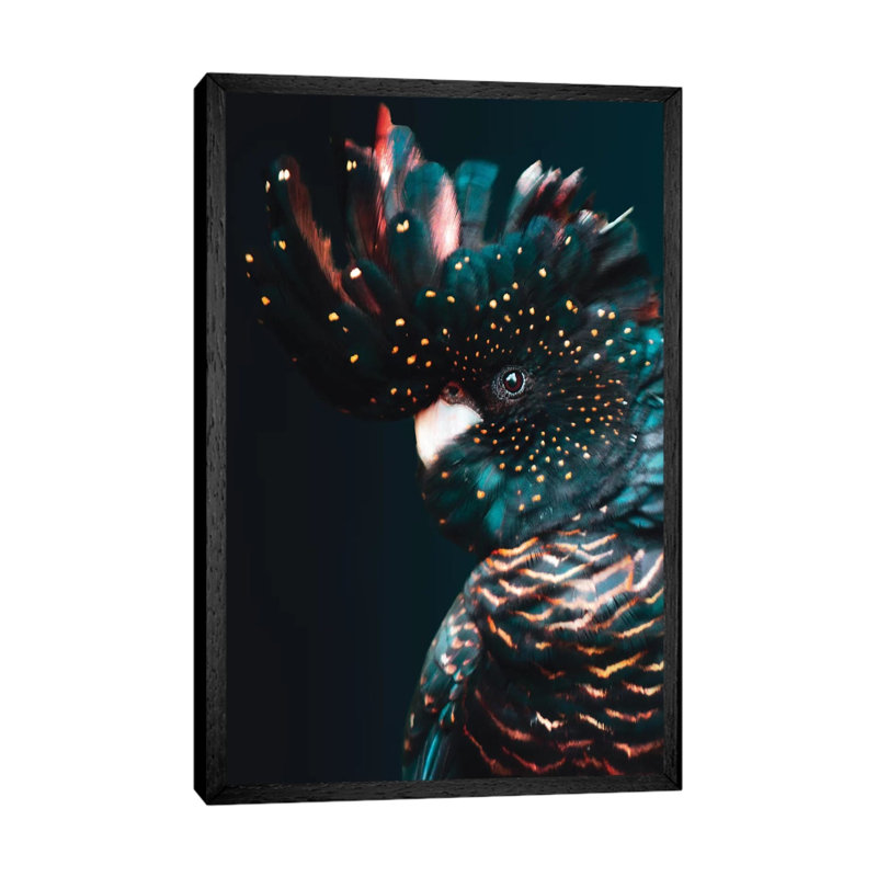 Cockatoo by Wouter Rikken - Print on Canvas, Black Framed, 66.04 cm H x 45.72 cm W